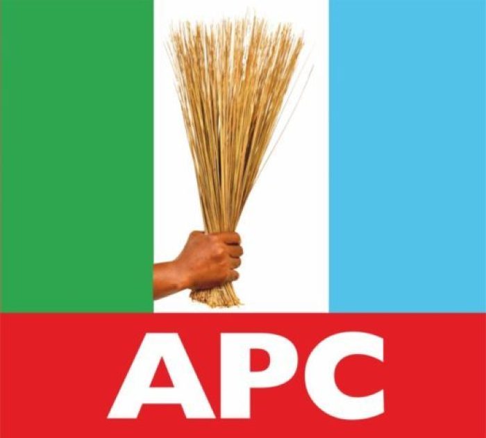 Why APC Primary Election Results Are Yet To Be Announced – Newscarte